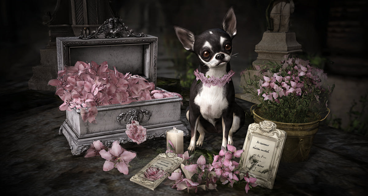 pet memorial gifts and keepsakes