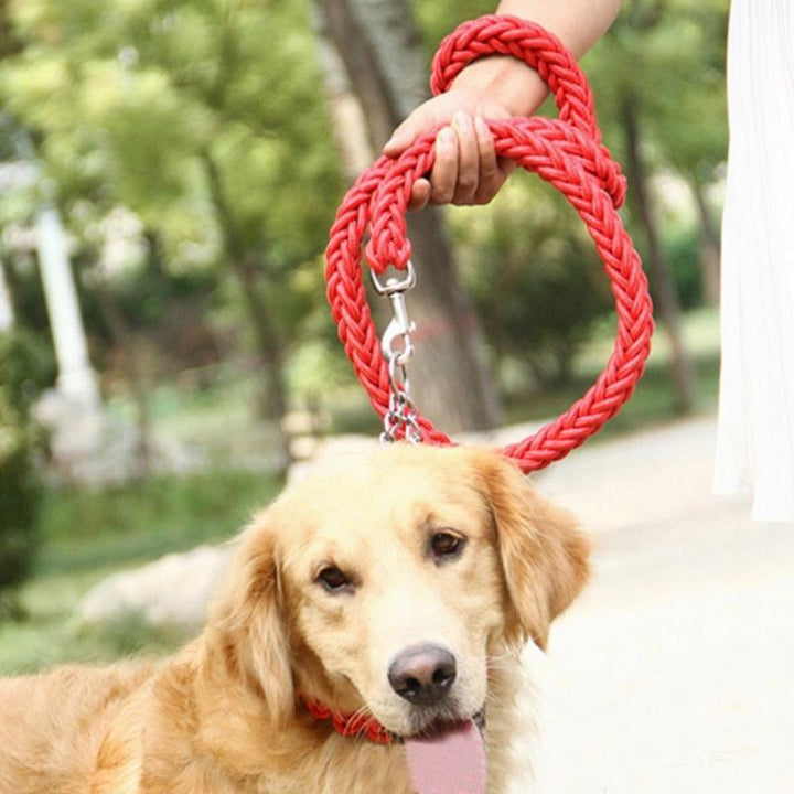 Durable Nylon Dog Leash & Collar Set - themiraclebrands.com