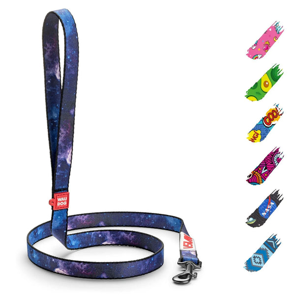 Nylon Dog Leash — Durable, Stylish & Multifunctinal (4 Ft)