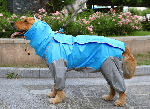 Big Dog Raincoat Waterproof Polyester Taff Full Coverage - themiraclebrands.com