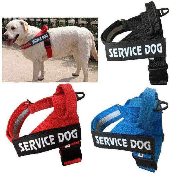 Personalized Adjustable Dog Harness Vest - themiraclebrands.com