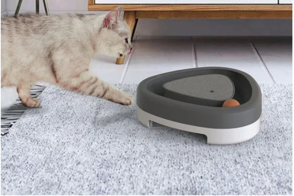 Smart Electric Cat Turntable Toy with Feather