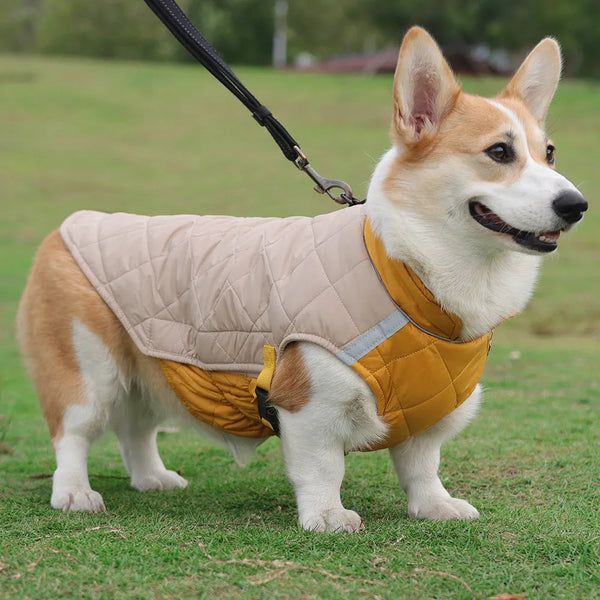 Warm Reflective Dog Cotton Vest – Thickened Casual Coat for Pets