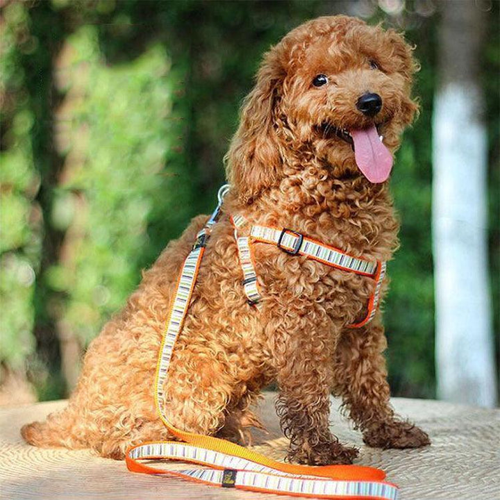 Striped Nylon Dog Chest and Back Cover with Leash - themiraclebrands.com