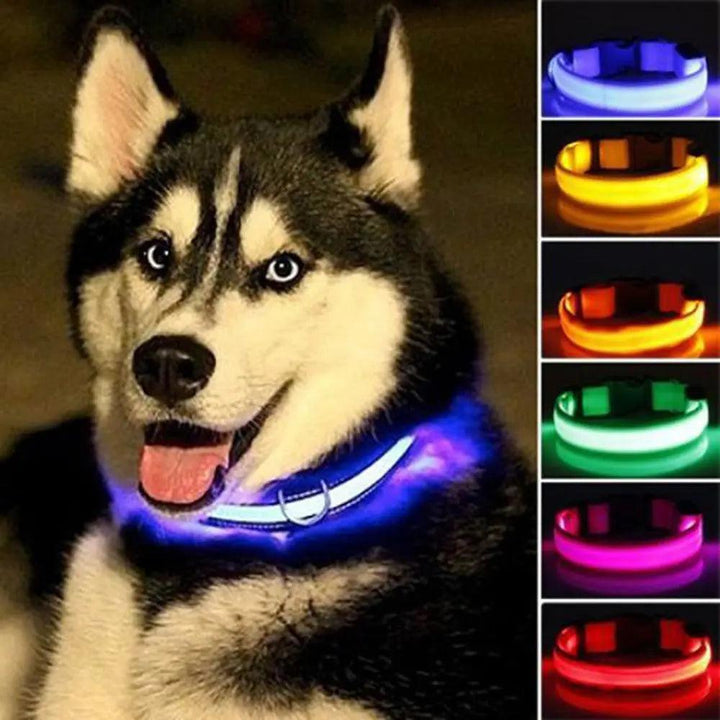 LED Pet Dog Collar - Night Safety Flashing Glow Collar - themiraclebrands.com