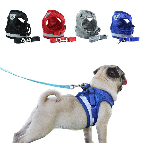 Reflective Safety Pet Harness and Leash Set - themiraclebrands.com