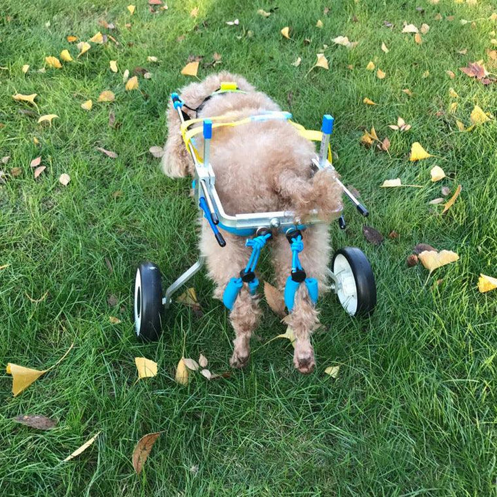 Adjustable Dog Wheelchair for Disabled Pets - themiraclebrands.com