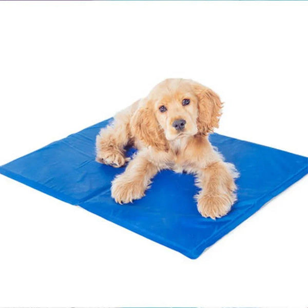 Automatic Recharging Pet Cooling Mat – Gel Pad for Dogs & Cats