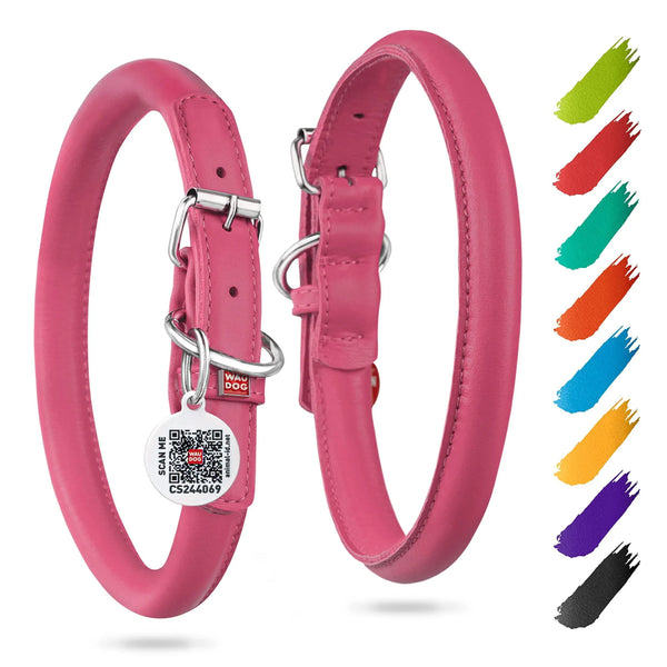 Soft Rolled Leather Dog Collar — Durable & Bright
