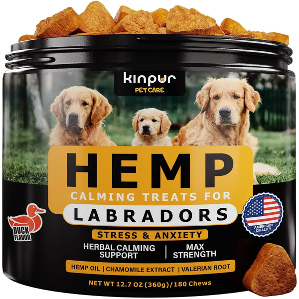 Calming Hemp Chews for Labrador Dogs — Relax & Joint Support