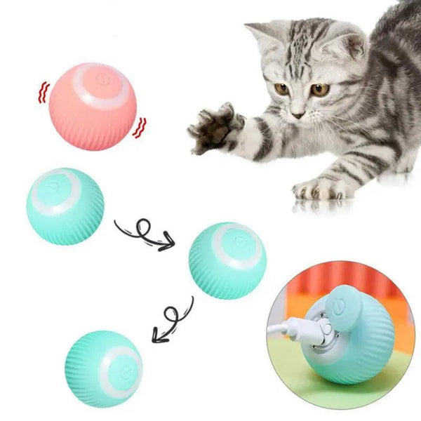 Smart USB-Charged 360° Rolling Pet Ball