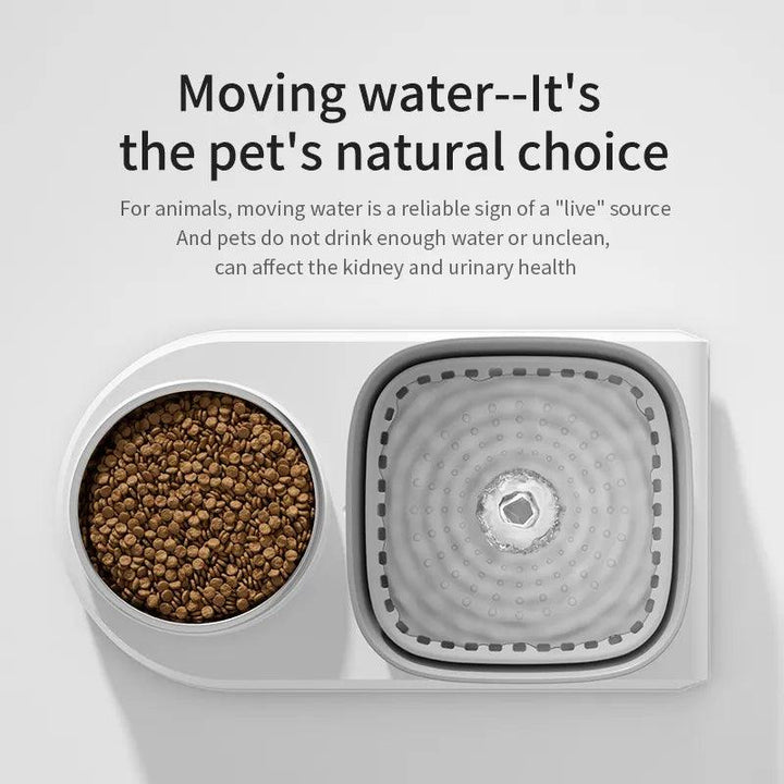 2in1 Pet Water Fountain and Feeding Bowl - themiraclebrands.com