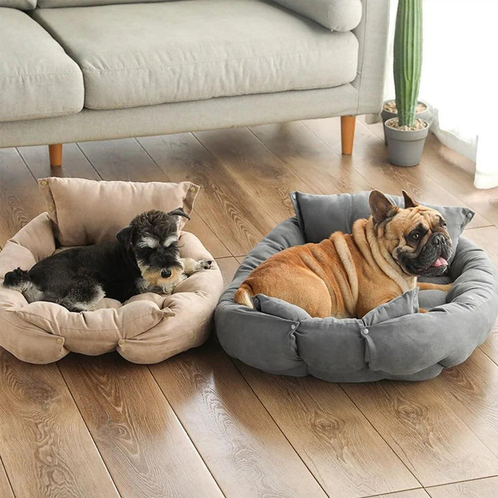 3-in-1 Multifunction Dog Bed Mat Sofa - themiraclebrands.com