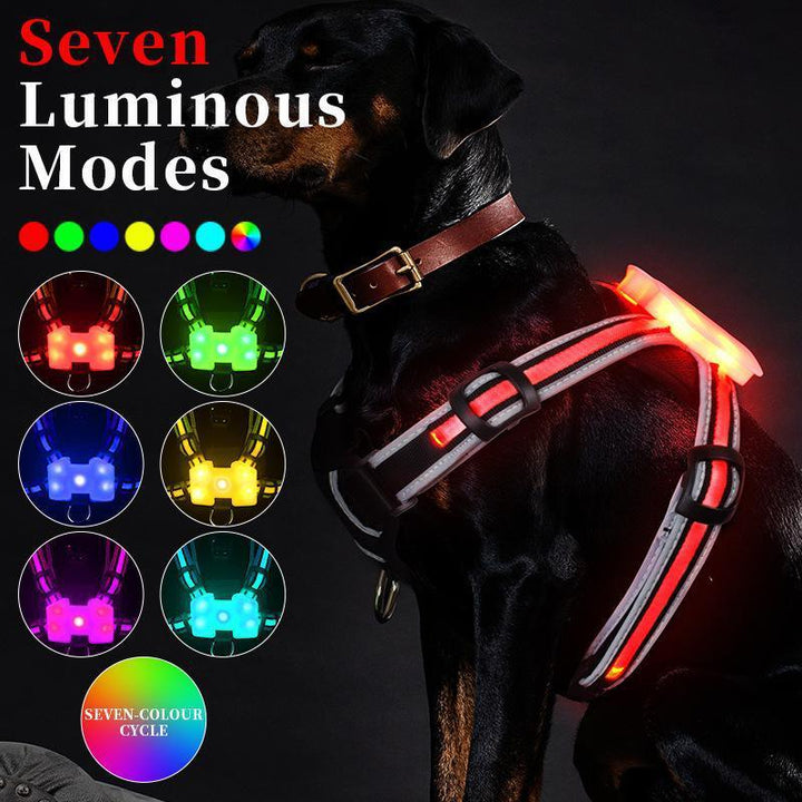 LED Luminous Dog Walking Vest - themiraclebrands.com