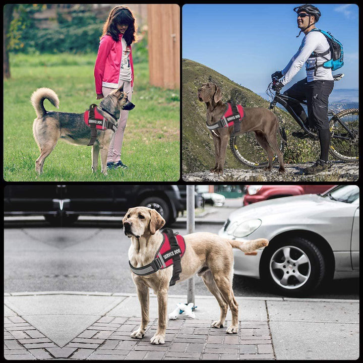 Reflective Comfortable Pet Chest Strap Traction Rope Leash Undershirt - themiraclebrands.com