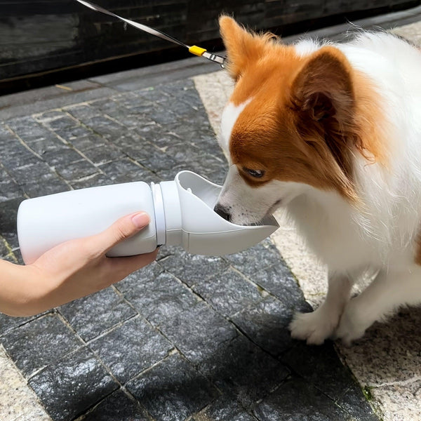 Leak-Proof Dog Water Bottle - Foldable Silicone Dispenser & Feeder Bowl