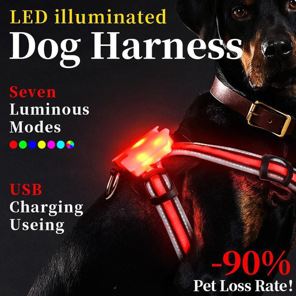 LED Luminous Dog Walking Vest - themiraclebrands.com