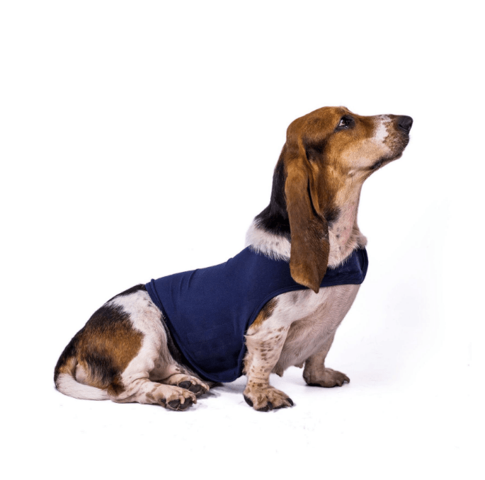 Dog Anxiety Thunder Vest Coat - themiraclebrands.com