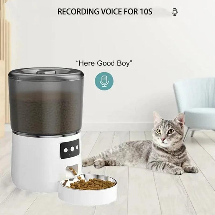 4L Smart Pet Feeder Tuya Control - themiraclebrands.com