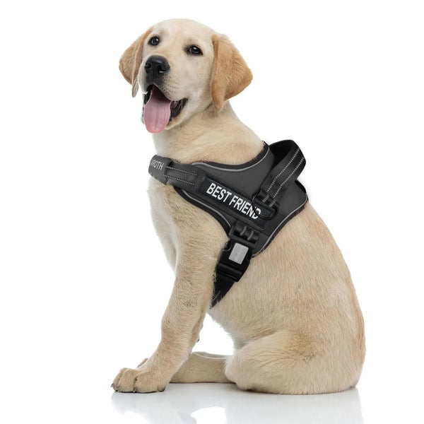 AUROTH Comfort Fit Dog Harness