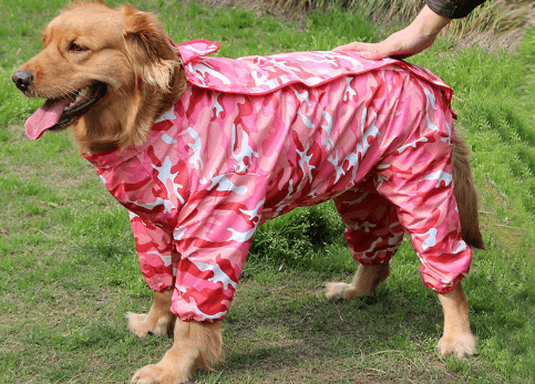 Big Dog Raincoat Waterproof Polyester Taff Full Coverage - themiraclebrands.com