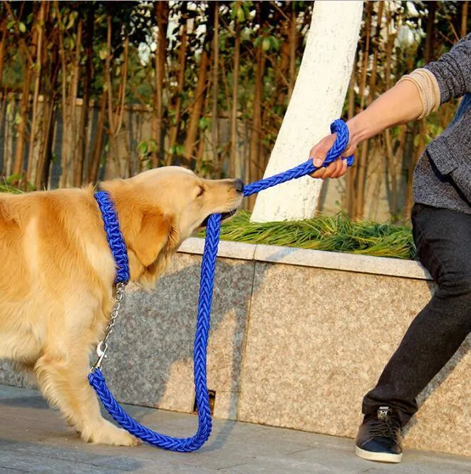 Double Strand Rope Dog Leash with Metal P Chain Buckle - themiraclebrands.com