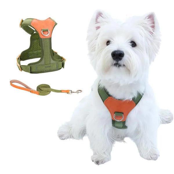 LeafPaw Adjustable Dog Harness and Leash Set