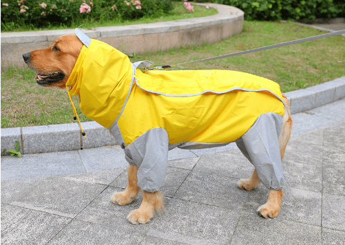 Big Dog Raincoat Waterproof Polyester Taff Full Coverage - themiraclebrands.com