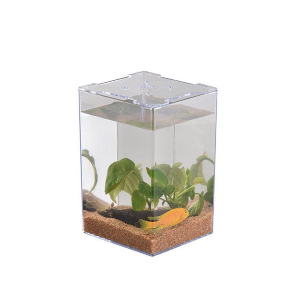 Acrylic Desktop Fish Tank - themiraclebrands.com