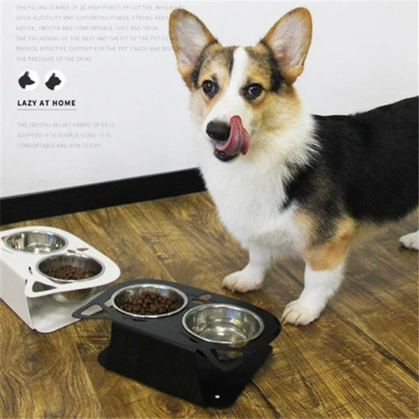 Anti-Falling Tilted Pet Bowl for Cats & Dogs