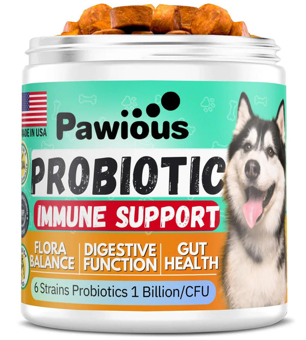 Probiotics for Dogs – Gut Health, Digestion & Allergy Relief