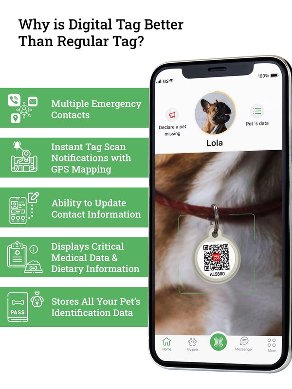 Silicone QR Code Pet ID Tags – Smart Dog & Cat Tags with App