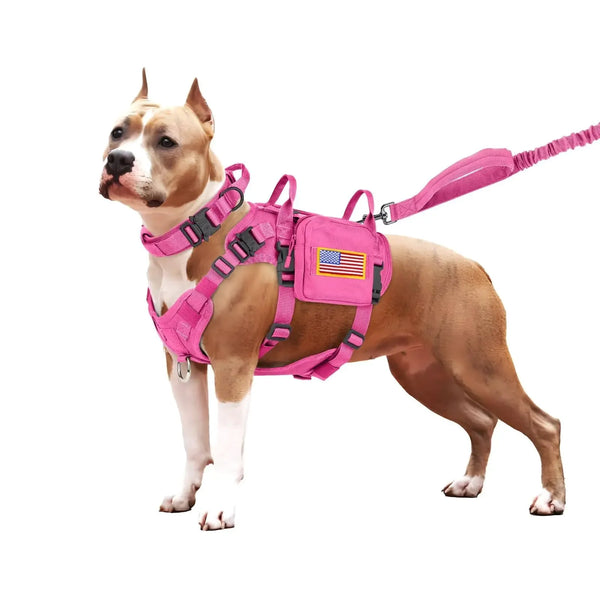 Heavy Duty Dog Training Harness & Leash Set