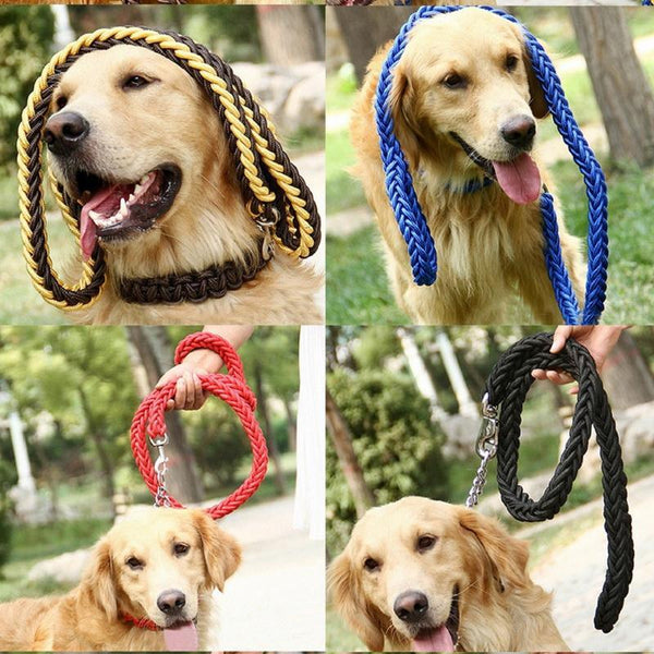 Durable Nylon Dog Leash & Collar Set - themiraclebrands.com