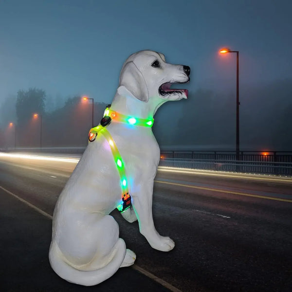 Rechargeable LED Dog Harness - Medium