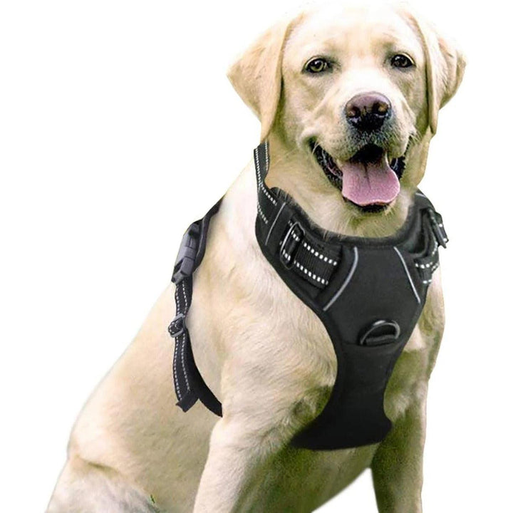 Pet Dog Chest Strap Vest with Explosion-Proof Buckle Traction Rope - themiraclebrands.com