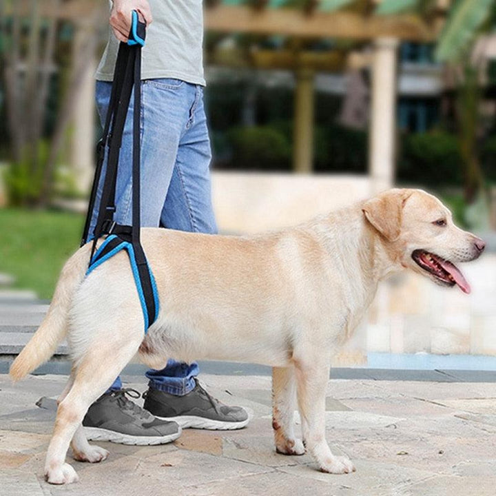 Adjustable Dog Lift Harness | Pet Support Sling - themiraclebrands.com