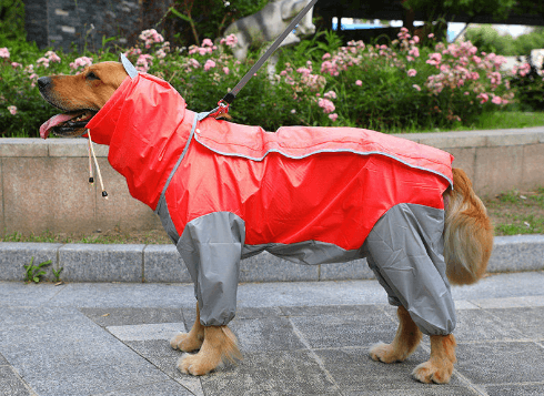 Big Dog Raincoat Waterproof Polyester Taff Full Coverage - themiraclebrands.com