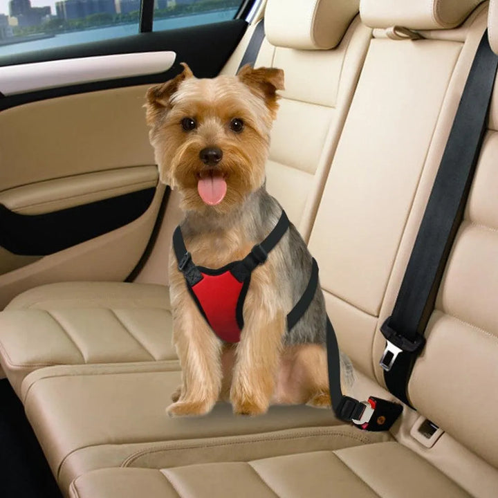 Nylon Dog Car Seat Belt Safety Harness - themiraclebrands.com