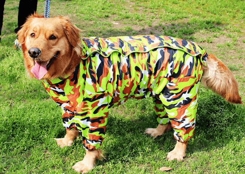 Big Dog Raincoat Waterproof Polyester Taff Full Coverage - themiraclebrands.com