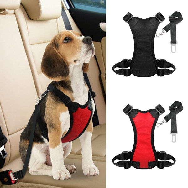 Nylon Dog Car Seat Belt Safety Harness - themiraclebrands.com