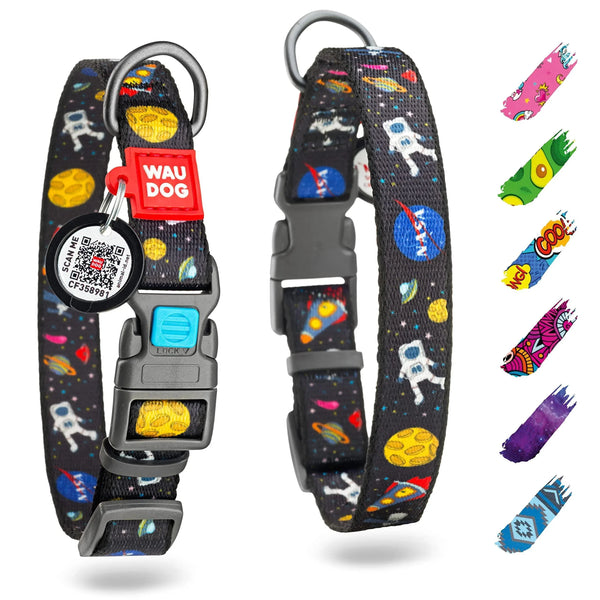 Nylon Dog Collar — Durable, Adjustable & Bright