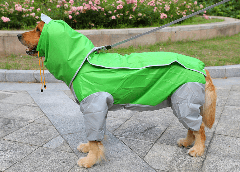 Big Dog Raincoat Waterproof Polyester Taff Full Coverage - themiraclebrands.com