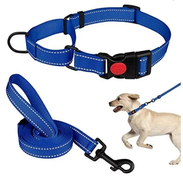 Reflective Dog Collar and Leash Set - themiraclebrands.com