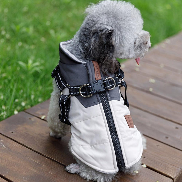 Warm Two-Legged Dog Vest for Autumn & Winter - themiraclebrands.com