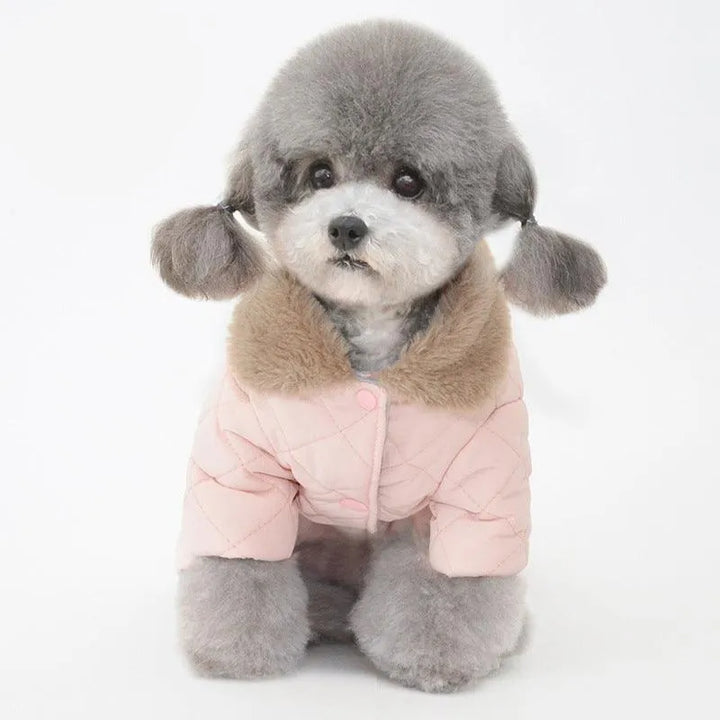 Winter Pet Cotton Coat | Casual Style - themiraclebrands.com