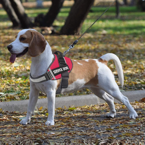 Reflective Comfortable Pet Chest Strap Traction Rope Leash Undershirt - themiraclebrands.com