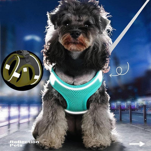 Reflective Oxford Vest Dog Harness Set - themiraclebrands.com