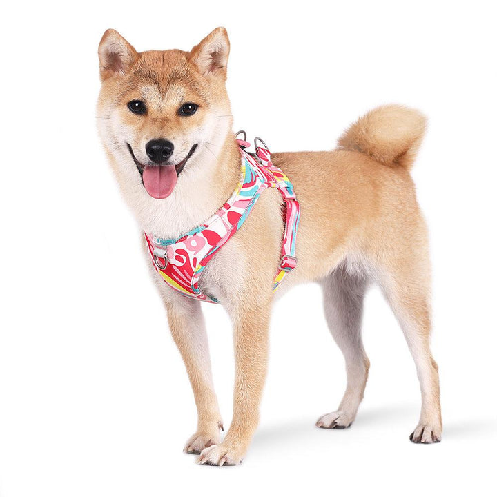 Printed Pet Chest Strap and Leash for Small Medium Dogs - themiraclebrands.com