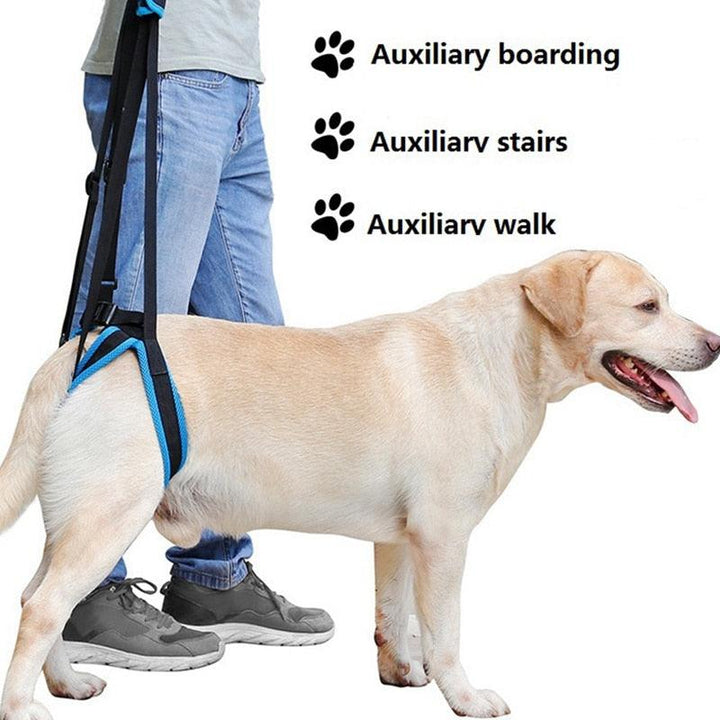 Adjustable Dog Lift Harness | Pet Support Sling - themiraclebrands.com